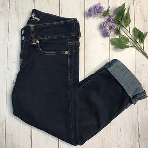 American Eagle Artist Cropped Jeans Size 4